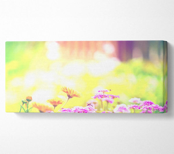 Ringelblume Flieder lila Blüten