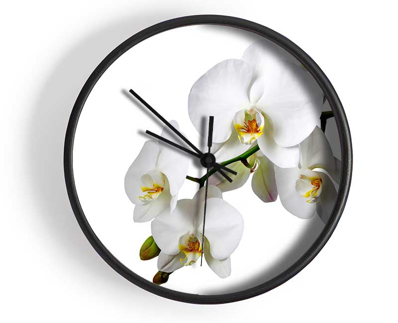 White Orchid Beauty Clock - Wallart-Direct UK