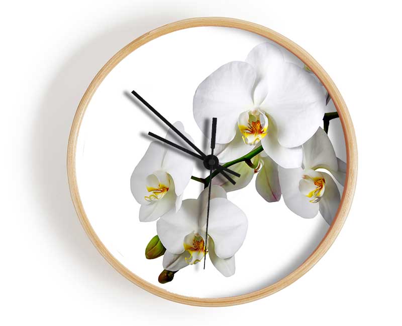 White Orchid Beauty Clock - Wallart-Direct UK