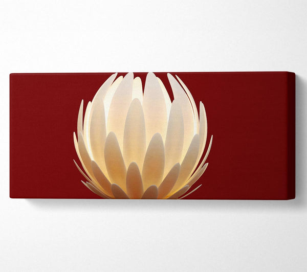 Glow Of The Flower