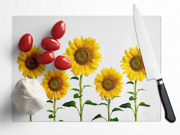 Sunflower Mayhem Glass Chopping Board