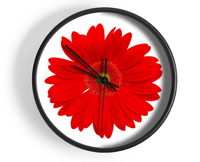 Vibrant Red Gerbera Clock - Wallart-Direct UK