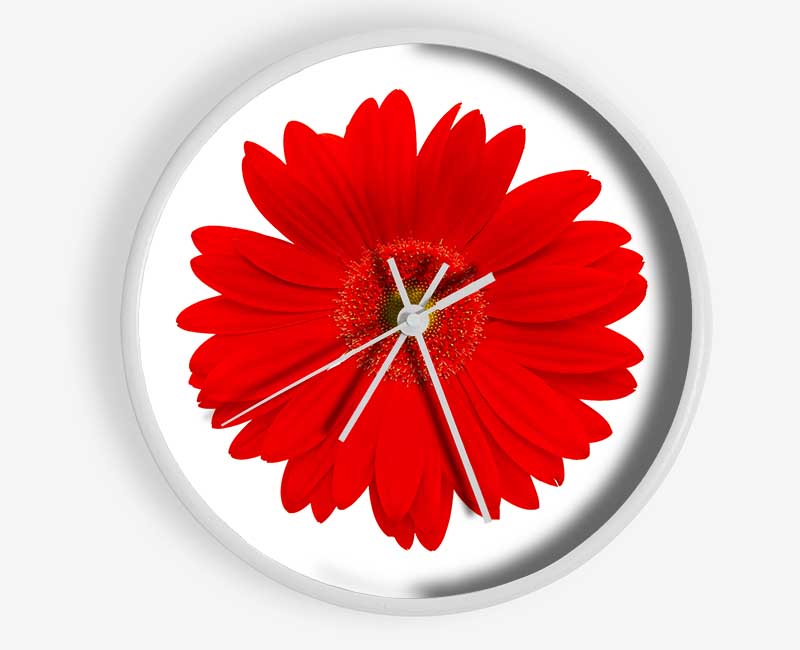 Vibrant Red Gerbera Clock - Wallart-Direct UK