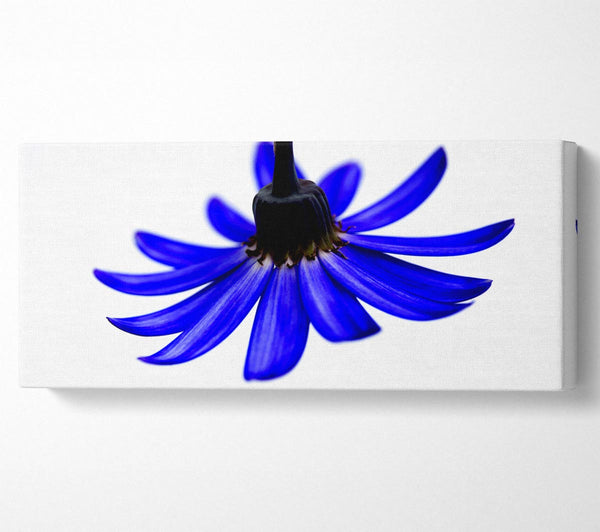 Blaue Blütenblätter