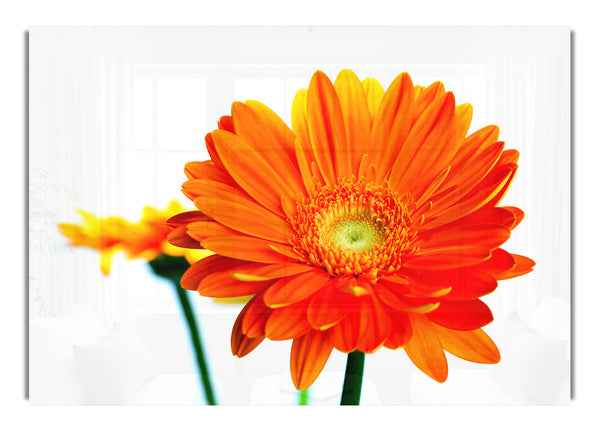 Orange Flammen