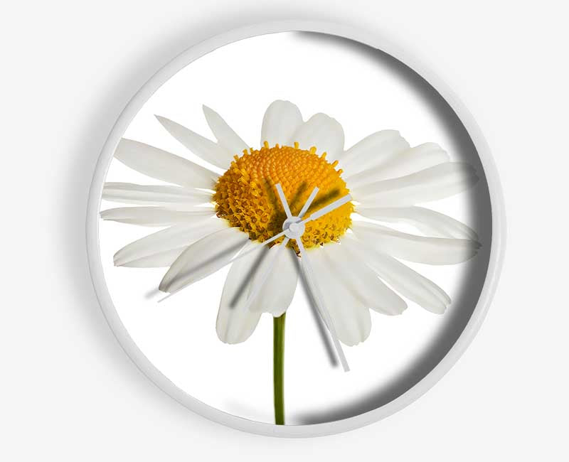 White Daisy Stem Clock - Wallart-Direct UK