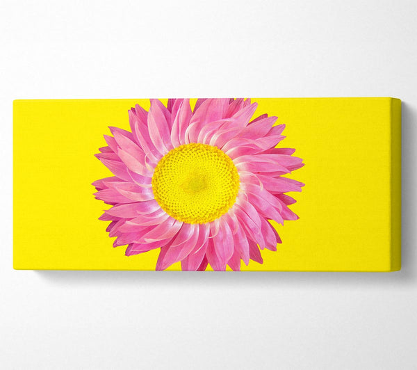 Pink Daisy On Yellow Twist