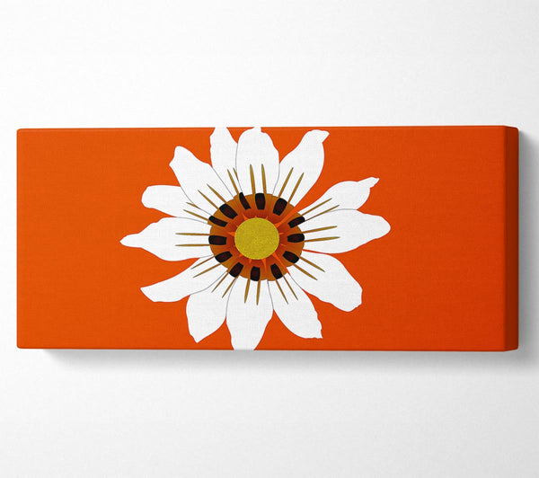 Weiße Gänseblümchen-Orangen