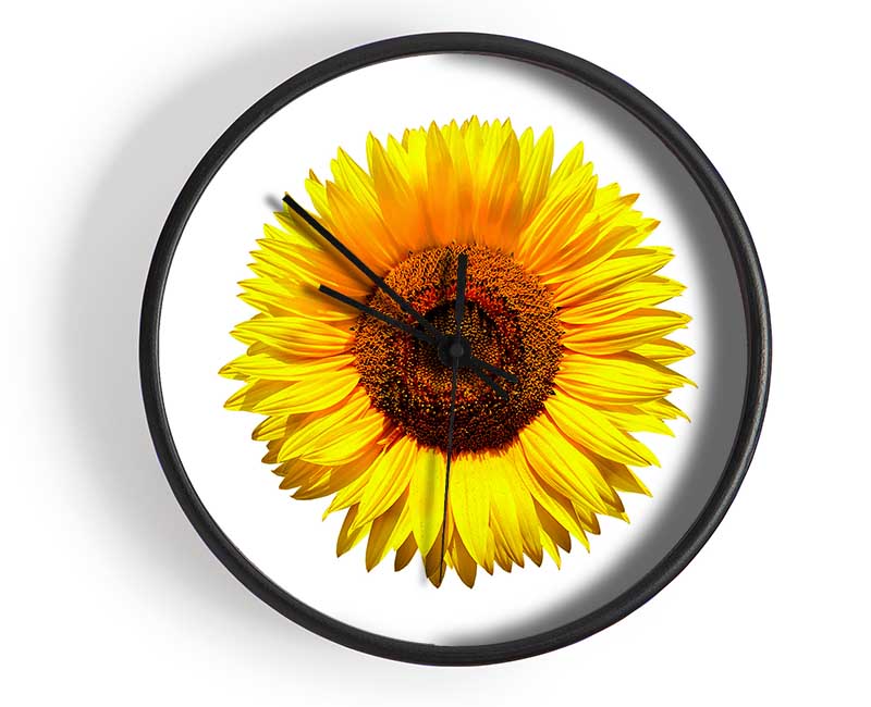 Yellow Sunflower Head Clock - Wallart-Direct UK