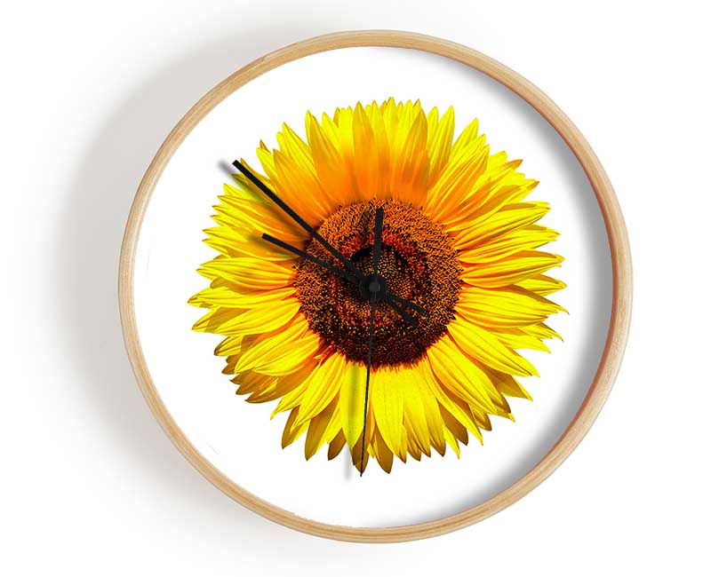 Yellow Sunflower Head Clock - Wallart-Direct UK