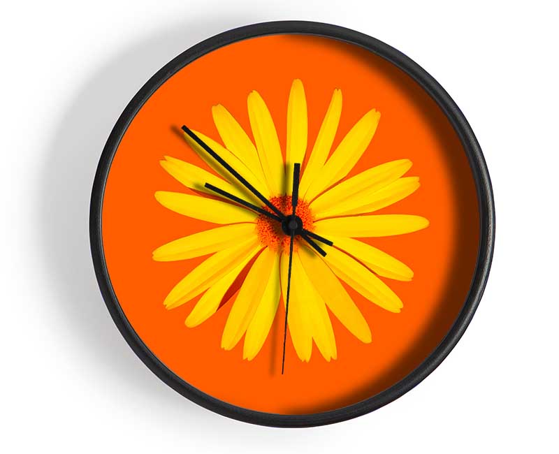 Yellow Daisy Face On Orange Clock - Wallart-Direct UK