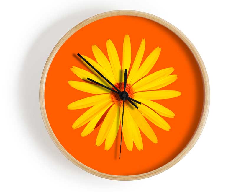 Yellow Daisy Face On Orange Clock - Wallart-Direct UK