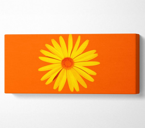 Yellow Daisy Face On Orange