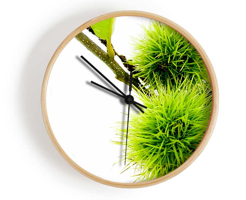 Green Pom poms Clock - Wallart-Direct UK