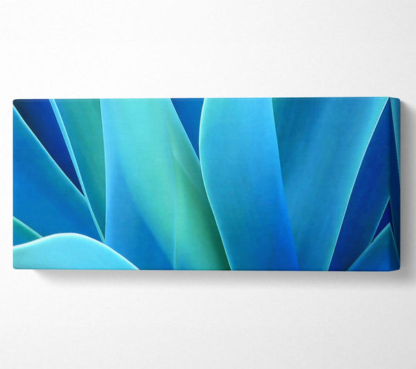 Jungle Leaves