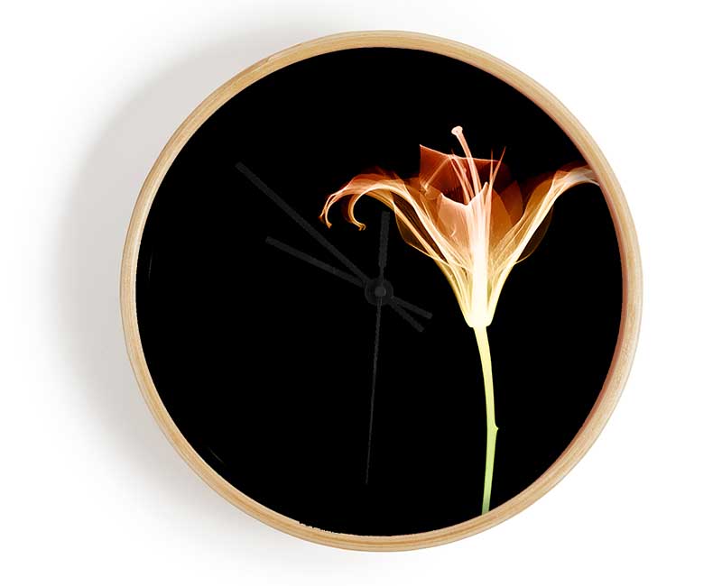 X-Ray Orange Clock - Wallart-Direct UK