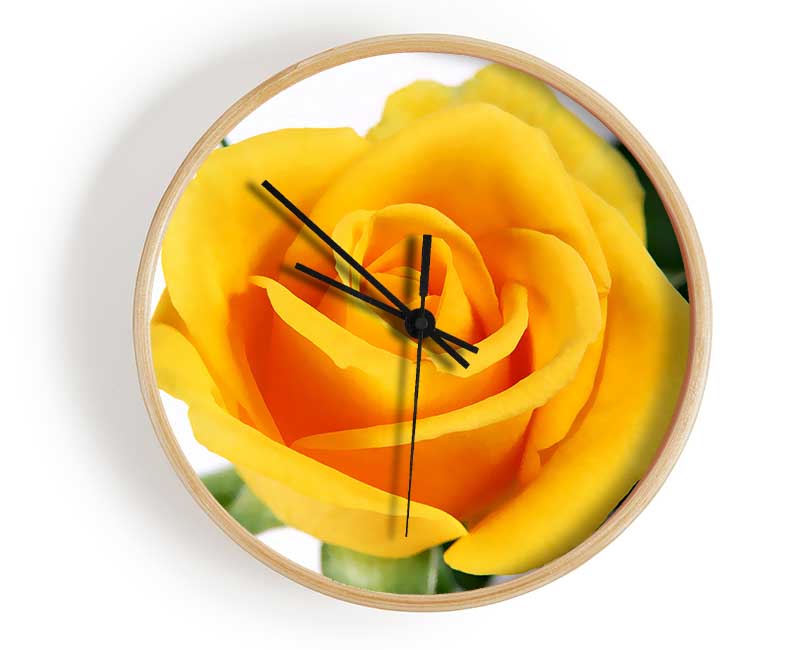 Yellow Rose Clock - Wallart-Direct UK