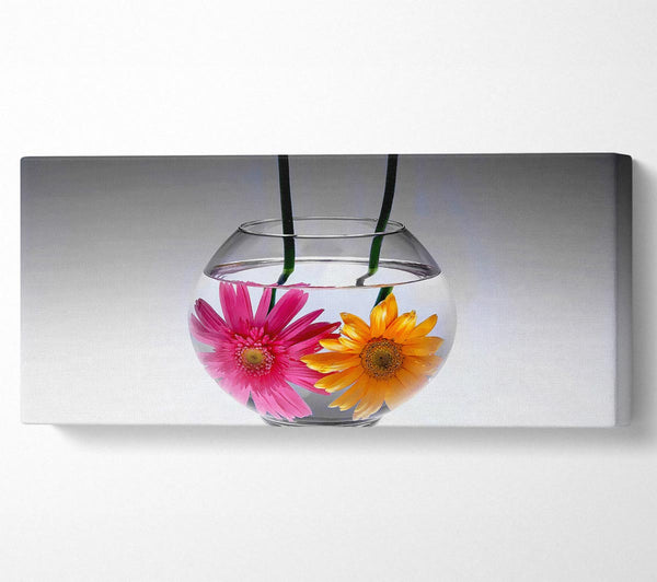 Gerbera Fishbowl B n W