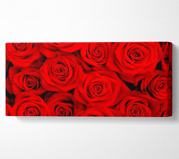 Schöne Rosen für die Person, die ich liebe