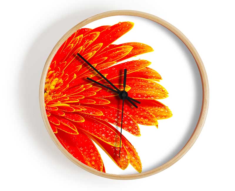 Lava Petals Clock - Wallart-Direct UK