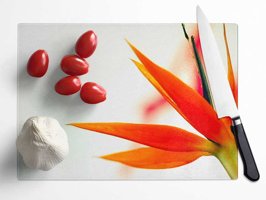 Orange Bird Of Paradise Glass Chopping Board