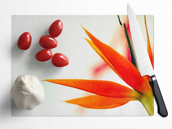Orange Bird Of Paradise Glass Chopping Board