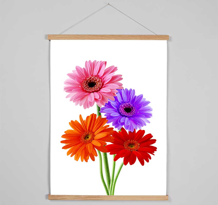 Gerbera Colours Hanging Poster - Wallart-Direct UK