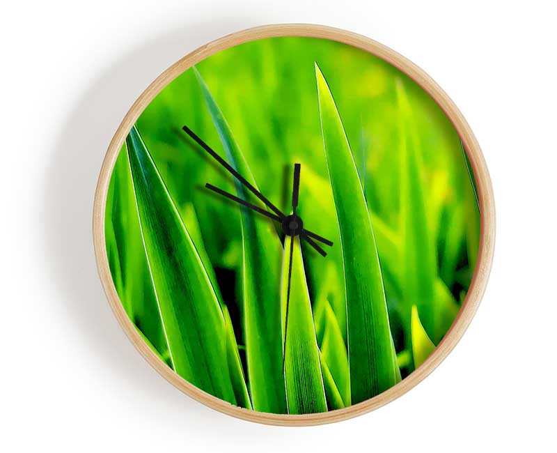 Green Leaf Shafts Clock - Wallart-Direct UK