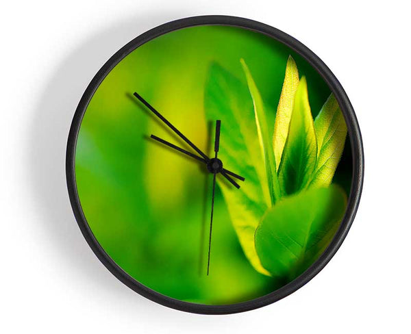 Green Leaf Flower Clock - Wallart-Direct UK