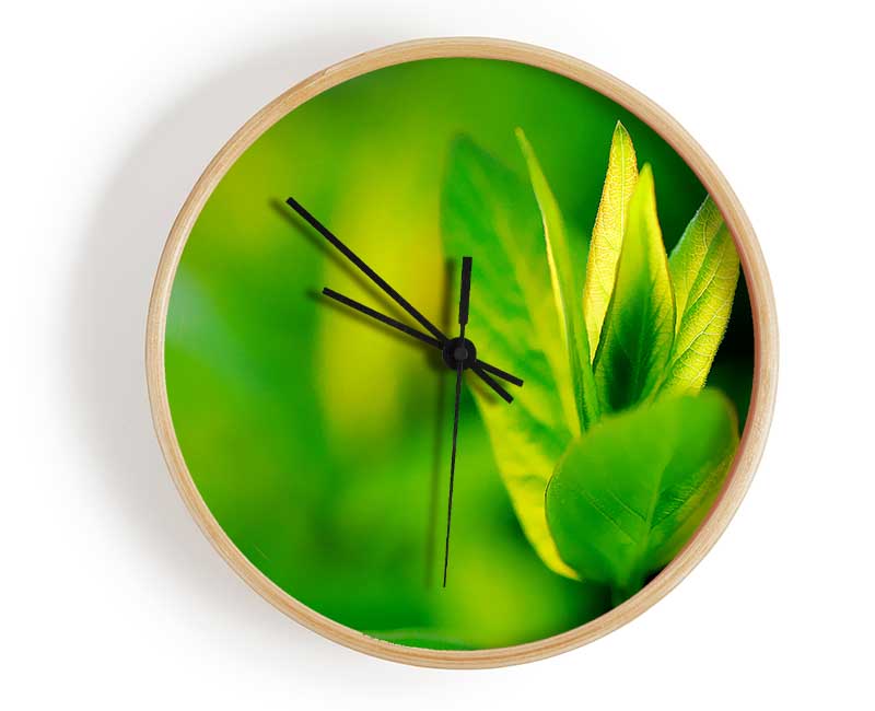 Green Leaf Flower Clock - Wallart-Direct UK