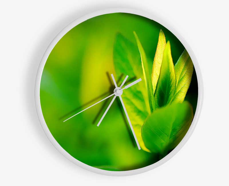 Green Leaf Flower Clock - Wallart-Direct UK