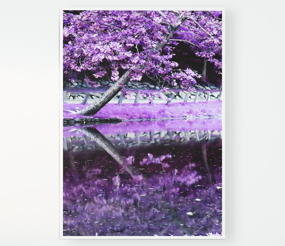 Lilac Walkway Print Poster Wall Art