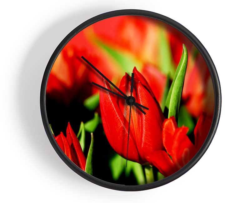 Tulips In Sunlight Clock - Wallart-Direct UK