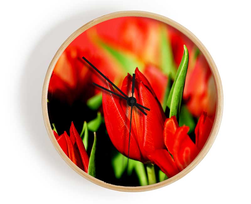 Tulips In Sunlight Clock - Wallart-Direct UK