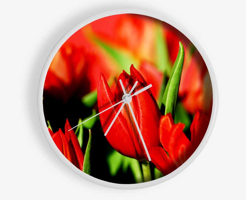 Tulips In Sunlight Clock - Wallart-Direct UK