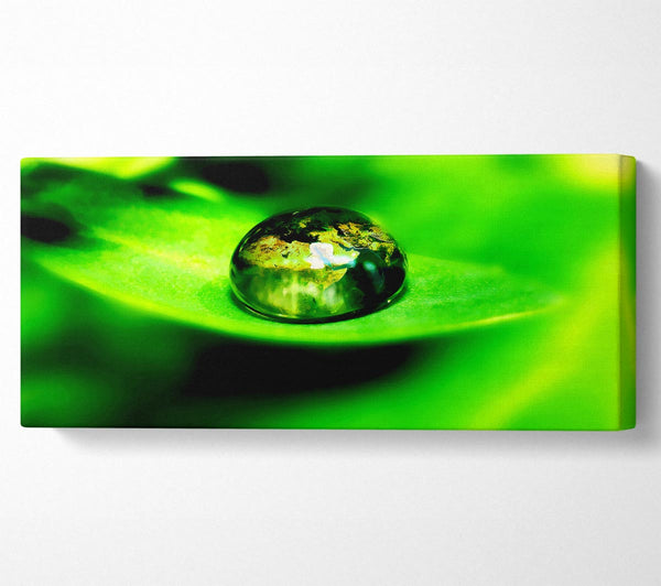 Green Leave Water Droplet