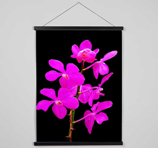 Vibrant Pinks Hanging Poster - Wallart-Direct UK