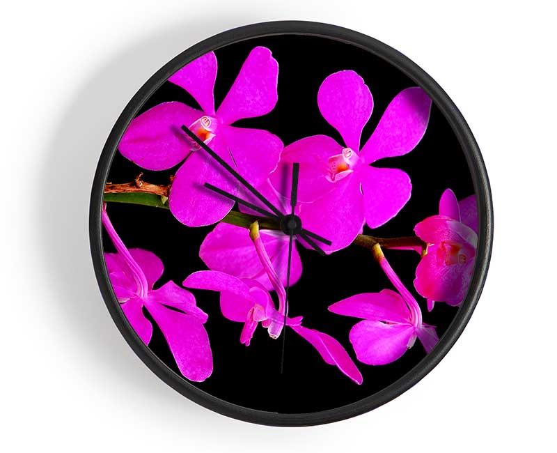 Vibrant Pink Beauties Clock - Wallart-Direct UK