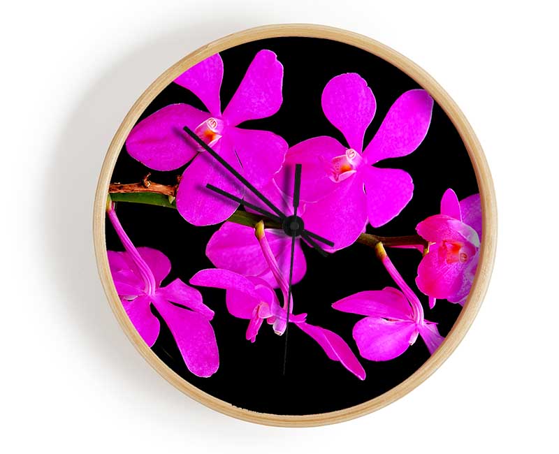 Vibrant Pink Beauties Clock - Wallart-Direct UK