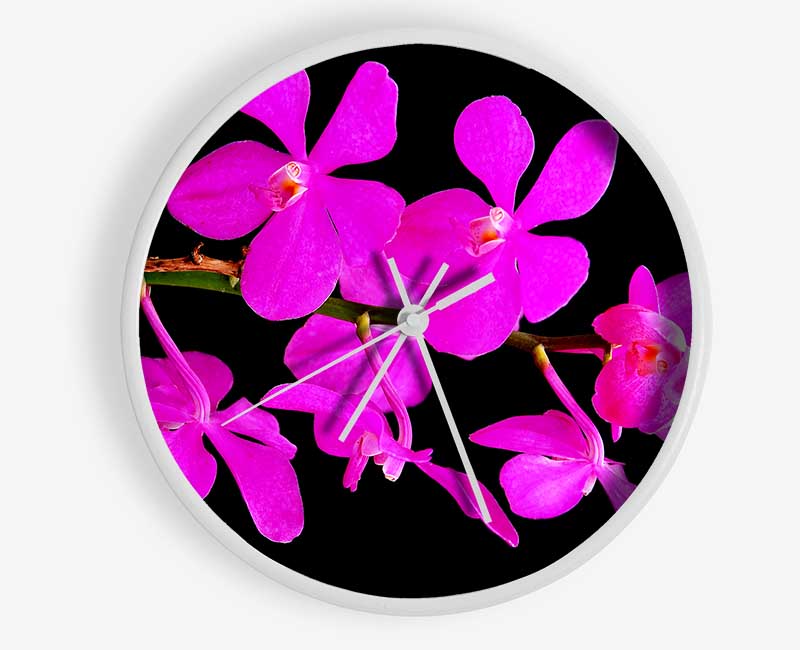 Vibrant Pink Beauties Clock - Wallart-Direct UK