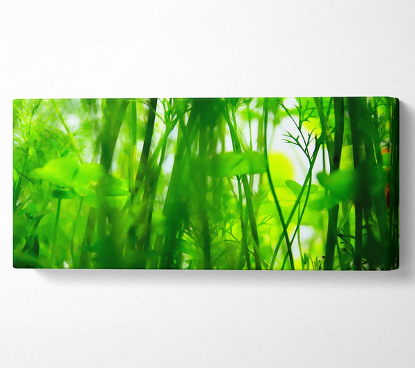 Fairies Green Jungle