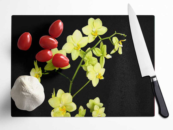 Yellow Star Flowers On Black Glass Chopping Board