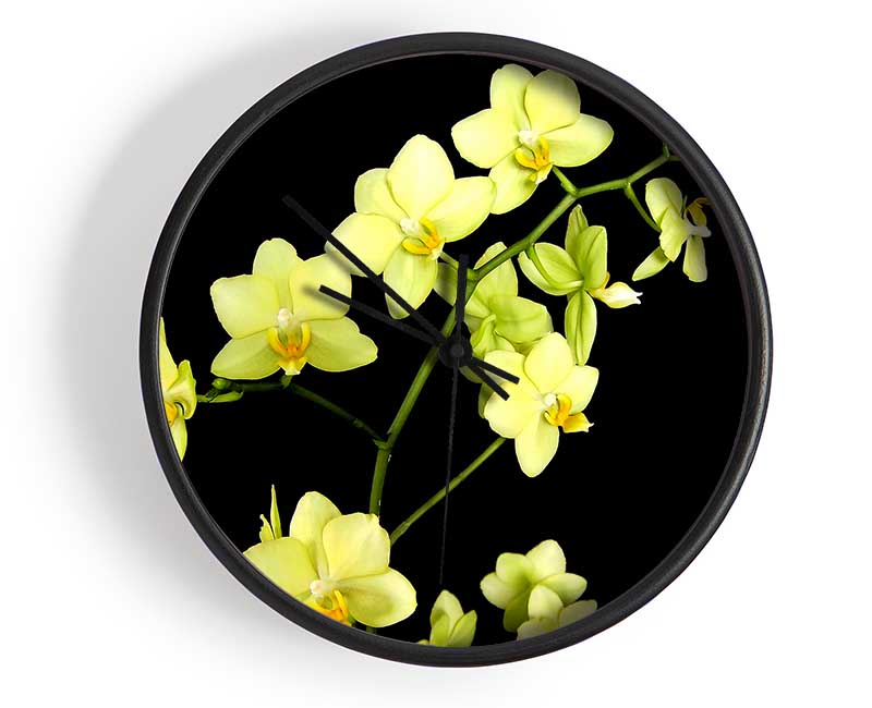 Yellow Star Flowers On Black Clock - Wallart-Direct UK