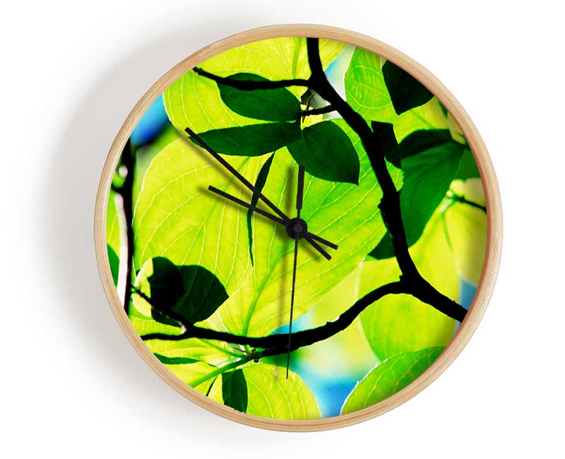 Green Leaves In Sunlight Clock - Wallart-Direct UK