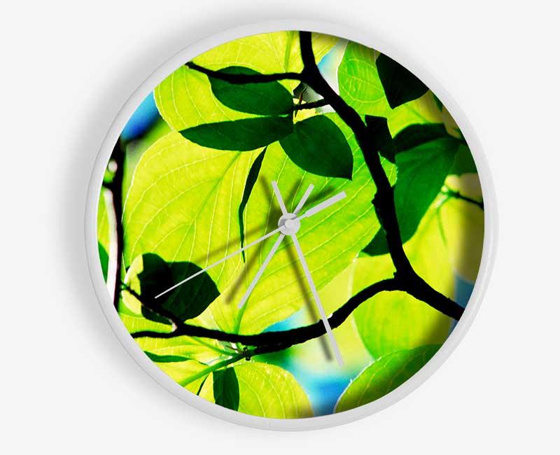 Green Leaves In Sunlight Clock - Wallart-Direct UK