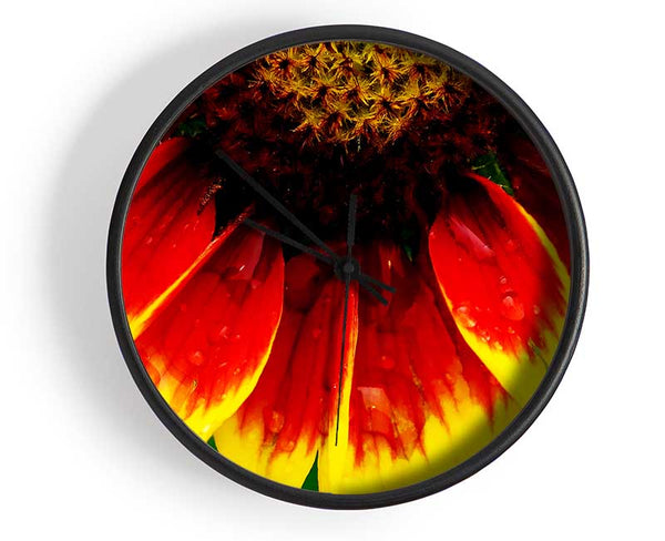 Fire Petal Dewdrop Clock - Wallart-Direct UK