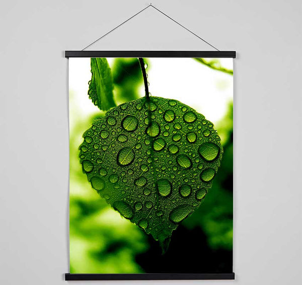 Waterdrops On A Leaf Hanging Poster - Wallart-Direct UK