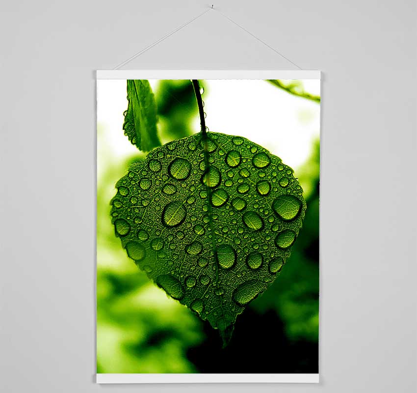 Waterdrops On A Leaf Hanging Poster - Wallart-Direct UK