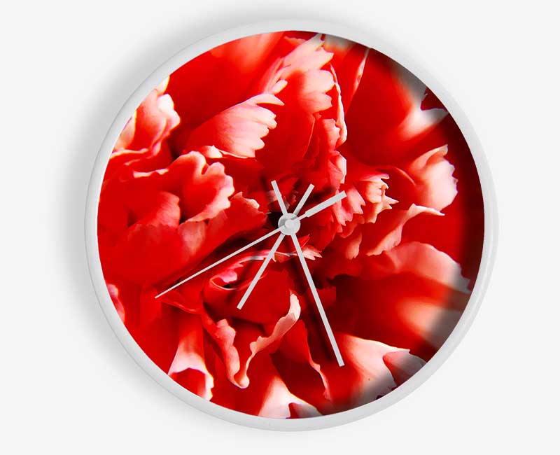 Vivid Pink Carnation Clock - Wallart-Direct UK