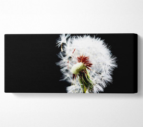 Dandelion Breeze